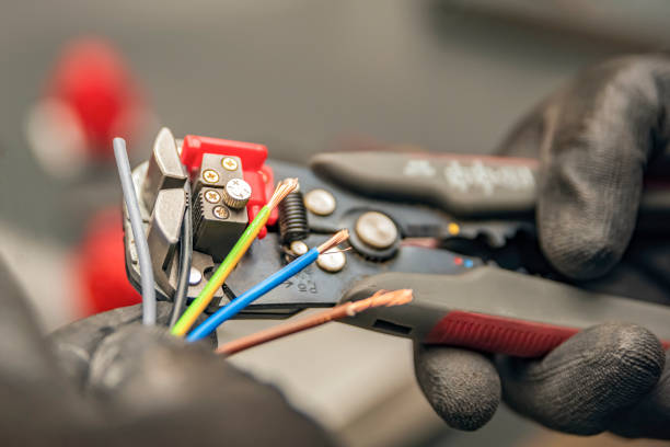 Best Electric Panel Repair  in Hudson, FL